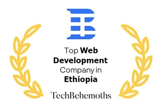 recognitions techbehemoths web development